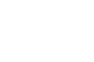gft-promotora-AMIGOZ