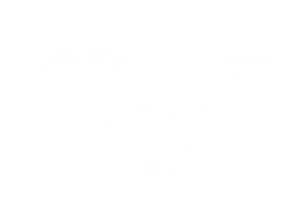 gft-promotora-BANCO-SANTANDER-OLE-CONSIGNADO